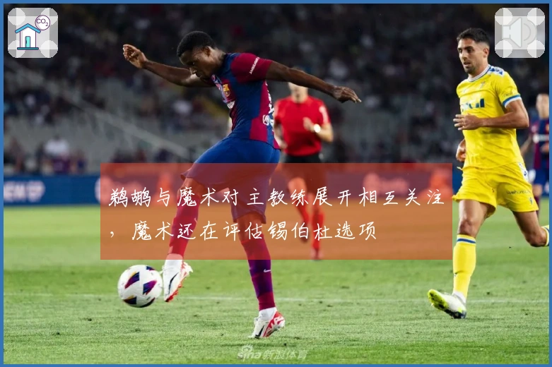 鹈鹕与魔术对主教练展开相互关注，魔术还在评估锡伯杜选项