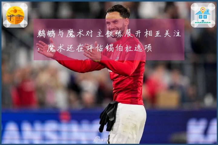 鹈鹕与魔术对主教练展开相互关注，魔术还在评估锡伯杜选项